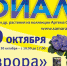 выставка фиалок Артёма Санина - ТолькоЧто.Ru