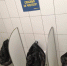 Новое слово чистоты туалета сказали в одном из гипермаркетов Самары - TltOnline.Ru