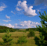 www.sgubern.ru - TltNews.Ru