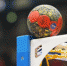 handball-vrn.ru - TltNews.Ru