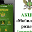 Тольяттинские приставы нашли должников, просканировав номера их автомобилей - TLT.Ru