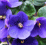 pochemu.su - TltNews.Ru