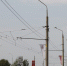 Исполнили в полном объеме - Городские Ведомости