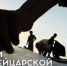 В Тольятти пройдут Дни швейцарской культуры - TltNews.Ru