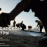 newsplaceholder - Мэрия городского округа Тольятти