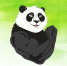 В Тольятти сегодня проходит проект Panda Meetup - TltGorod.Ru