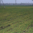 riasamara.ru - TltNews.Ru