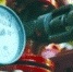 tagilcity.ru - TltNews.Ru