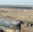 Поделиться в Вконтакте - TLT.Ru