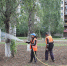 На бульваре Гая обновили газон - Городские Ведомости