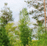 vk.com/tlt_official - TltNews.Ru