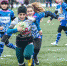 tgl-sport.ru - TltNews.Ru