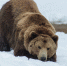 фото - TltOnline.Ru