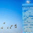 samregion.ru - TltNews.Ru