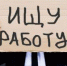 В Тольятти обновлена информация по числу безработных - TltGorod.Ru