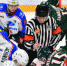 hclada.ru - TltNews.Ru