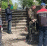Прокуратура расследует падение девочки на лестнице в Тольятти - TltGorod.Ru