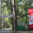 dumatlt.ru - TltNews.Ru