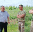 Защищая наш лес - Городские Ведомости