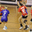 handball.ru - TltNews.Ru