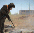 dolinatlt.ru - TltNews.Ru