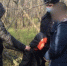 В Самаре вынесен приговор отморозкам, надругавшимся над похищенной девушкой - TltGorod.Ru
