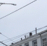 dumatlt.ru - TltNews.Ru