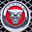 Квартиры, дома, BMW и Jaguar: В Самарской области выставили на торги имущество должников - TLT.Ru