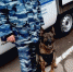 В Самарской области служебная собака помогла задержать уголовника с коноплей - TltGorod.Ru