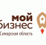 Рекордная сумма! В Самарской области региональный Гарантийный фонд помог привлечь 3,4 млрд рублей на развитие бизнеса - ТК ТОЛЬЯТТИ 24