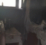 В Тольятти по факту гибели двух человек при пожаре организована доследственная проверка - TltGorod.Ru