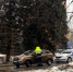 Все вопросы ГИБДД Тольятти 3 апреля можно задать напрямую - CityTraffic.Ru