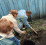 Тольятти отпраздновал Первомай - Городские Ведомости