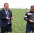 Глава Ставропольского района продолжает совместные с сельхозпроизводителями выезды в поля - Газета Ставрополь-на-Волге