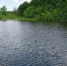 В Самарской области утонул 20-летний парень - TltGorod.Ru