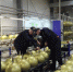 Нацпроект помог увеличить выработку на треть: производитель систем газового пожаротушения внедрил методики бережливого производства - TltGorod.Ru