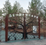 newsplaceholder - Мэрия городского округа Тольятти