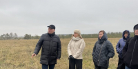 Санкционированная ликвидация: в Тольятти оценили работы по борьбе с незаконным свалками   - Площадь Свободы