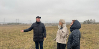 В  Тольятти оценили результаты работы по борьбе с незаконным свалками   - НеСлухи.РФ