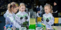 29 ноября состоится финал Чемпионата Самарской области «Будущие профессионалы 5+» - TltGorod.Ru