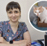 «Кошка считает, что мир вращается вокруг нее»: зоопсихолог — о вредных питомцах и ночных тыгыдыках - Тольятти.Ru