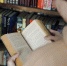Вы книжный червь или дальше «Лукоморья» не читали? Сложный тест по литературе - Тольятти.Ru