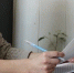 Самозанятые смогут брать больничный с июля 2026 года - Городские Ведомости