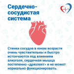 Как алкоголь влияет на организм подростков?