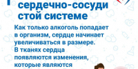 Почему стоит отказаться от алкоголя? Мнение нарколога - ТК ТОЛЬЯТТИ 24