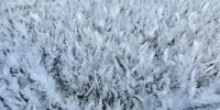 В Тольятти ожидается мороз до -6°C - TltGorod.Ru