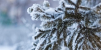 В Тольятти ожидается до -10°C - TltGorod.Ru