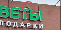 В Ставропольском районе пожарные спасли филина, который застрял в вывеске ТЦ — фото - Тольятти.Ru