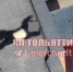 Трагедия произошла ранним утром - TltGorod.Ru