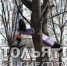 (мнение) «Самокаты – убийцы тольяттинцев»! Ненависть к СИМам достигла предела - TltGorod.Ru